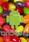 Google is planning to launch Android 5.0 jelly bean in Q2